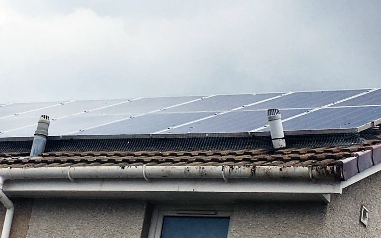 Solar Panel Bird Proofing - Andy Law Pest Control
